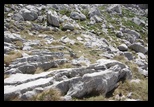 Durmitor - Prutas -02-07-2013 - Bogdan Balaban